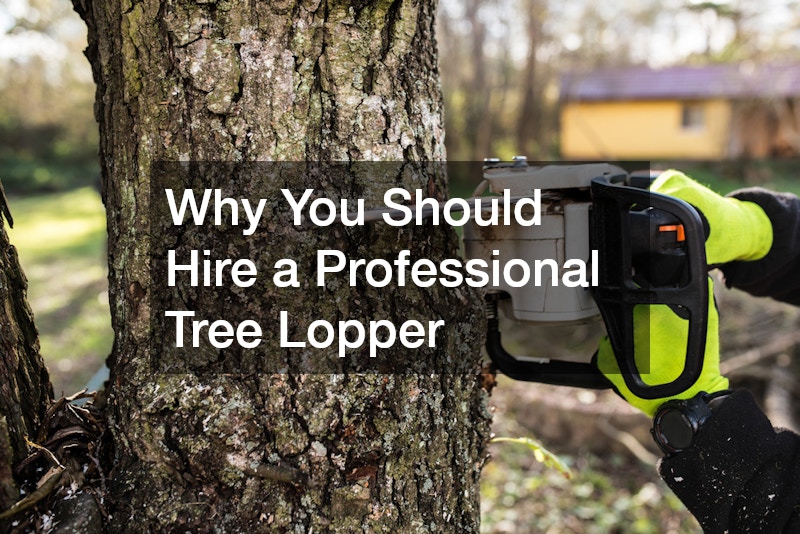 Why You Should Hire a Professional Tree Lopper